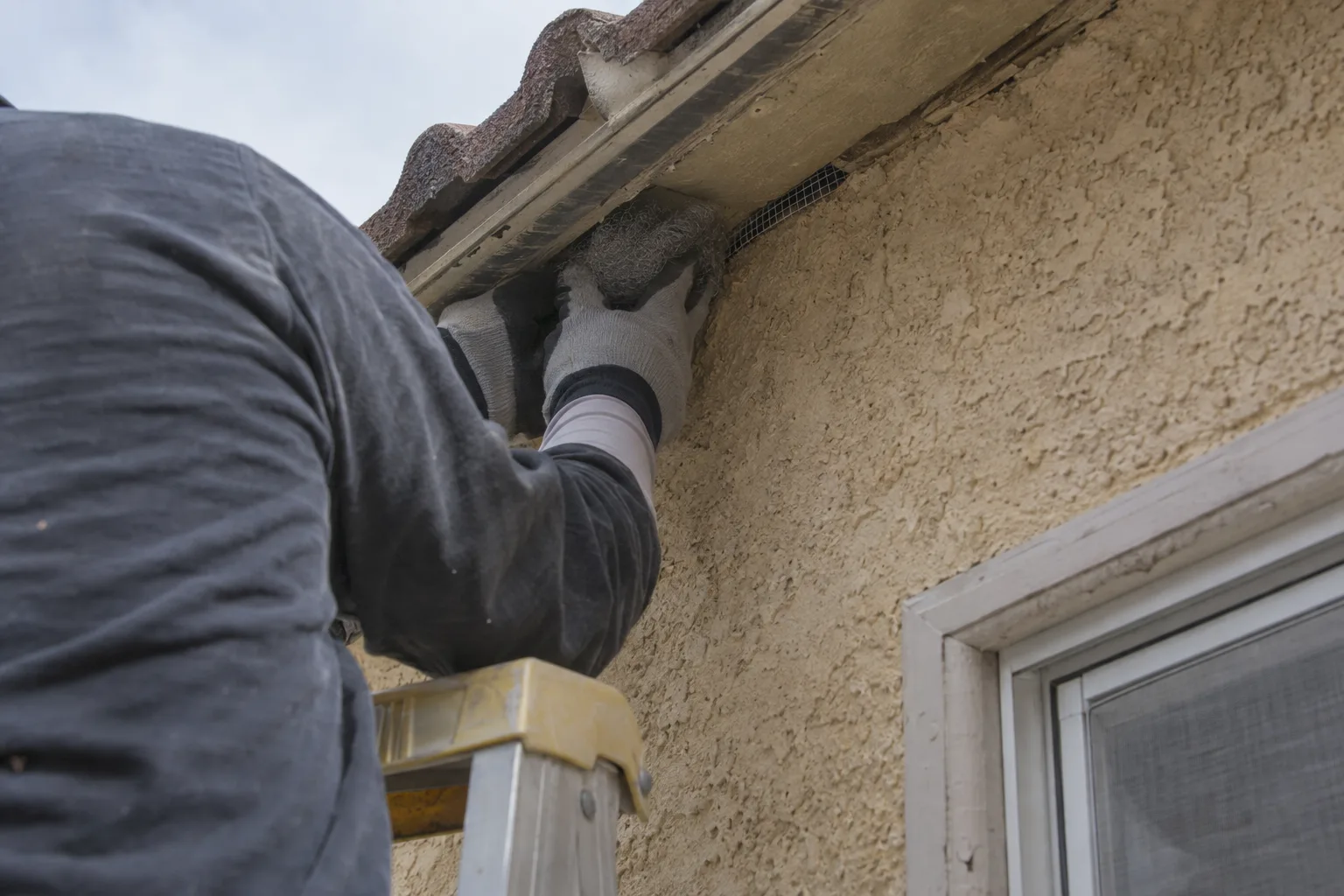 A gloved technician presses wire mesh into a gap between the stucco wall and soffit of a Southern California ranch-style home, sealing a rodent entry point in bright morning sunlight