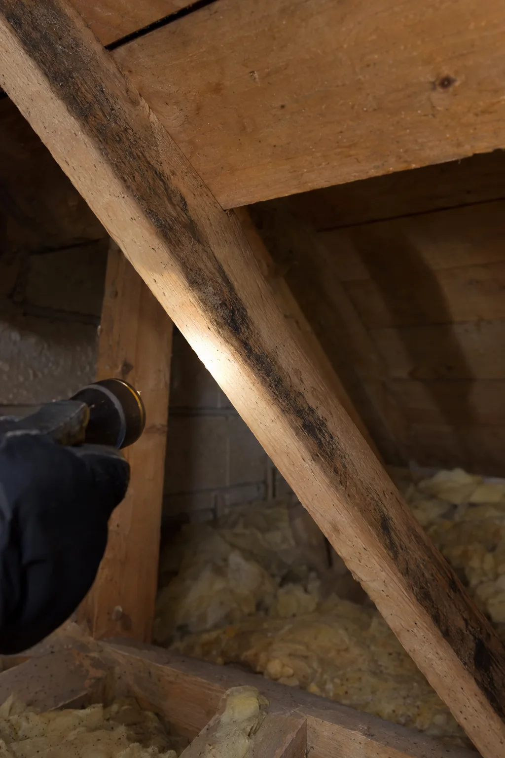 Dark grease smear marks along the surface of a bare wooden attic rafter, illuminated by a flashlight held by a gloved hand
