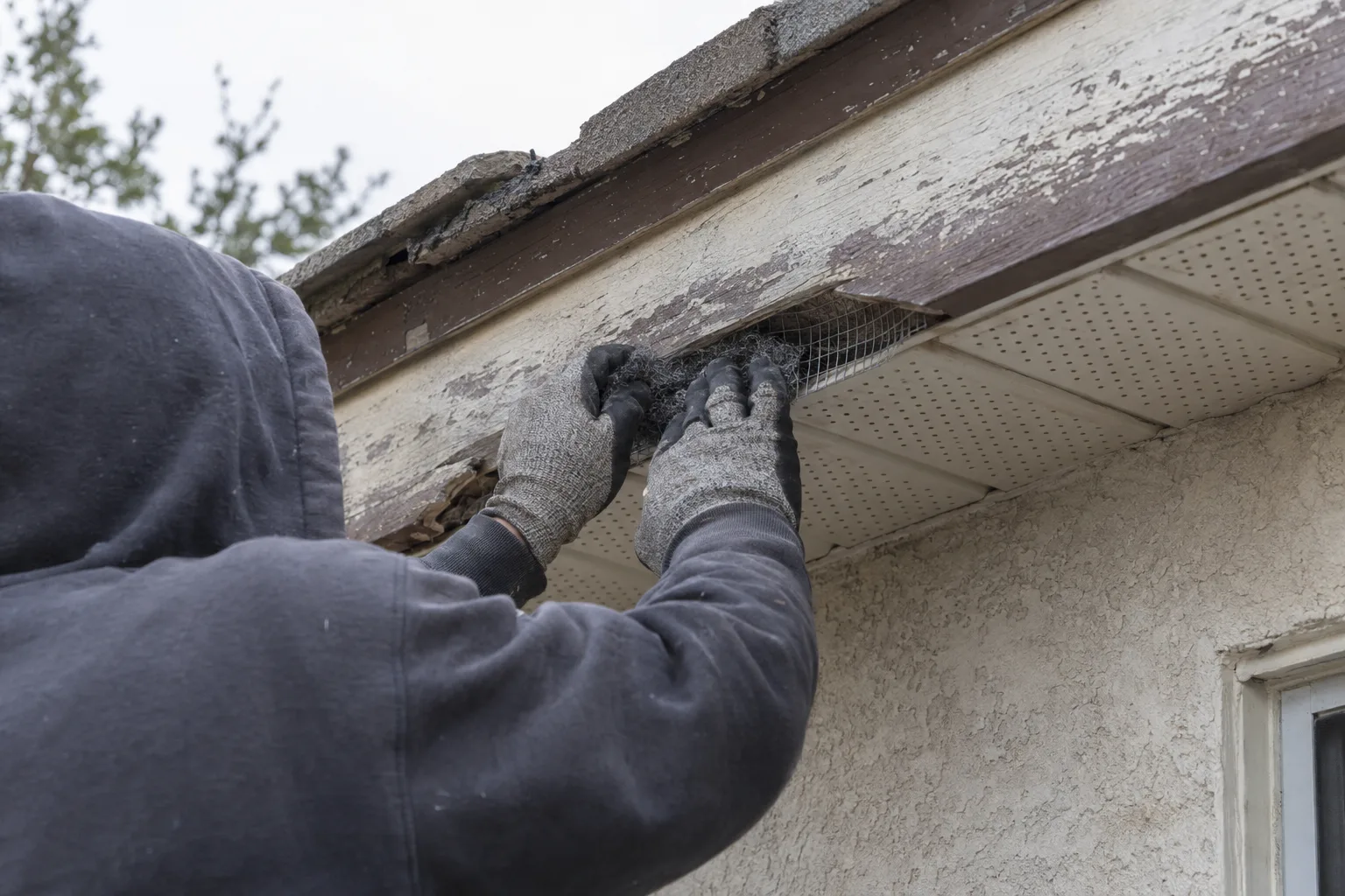 Gloved hands pressing wire mesh into a soffit gap at the roofline of a stucco Los Angeles rental home, viewed from behind the worker at close range