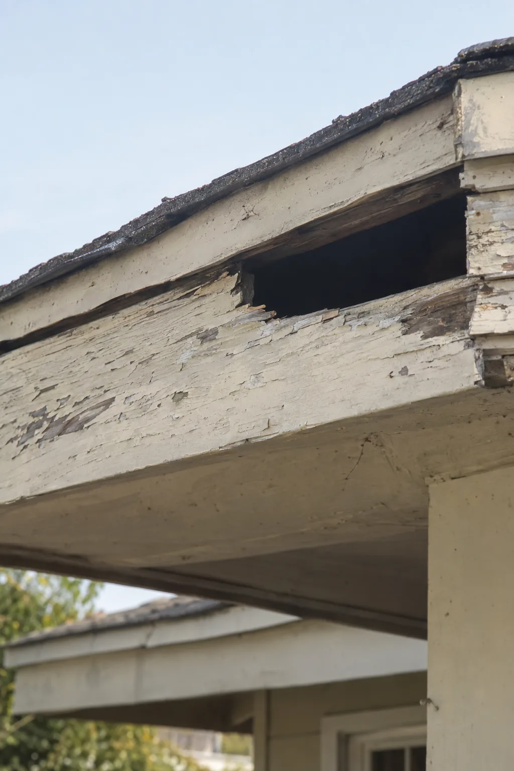 Deteriorated fascia board on an older Los Angeles home with a visible gap at the roofline where the wood has pulled away, creating an open entry point