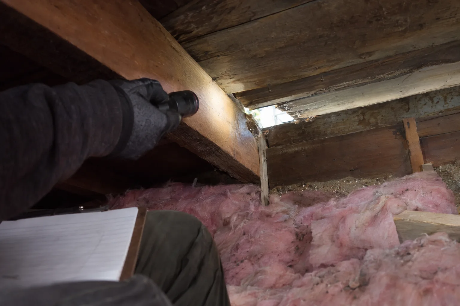 A gloved hand shining a flashlight on a gap between a rafter and fascia board inside a dark Los Angeles attic, with pink fiberglass insulation and rough timber framing visible and a clipboard resting nearby