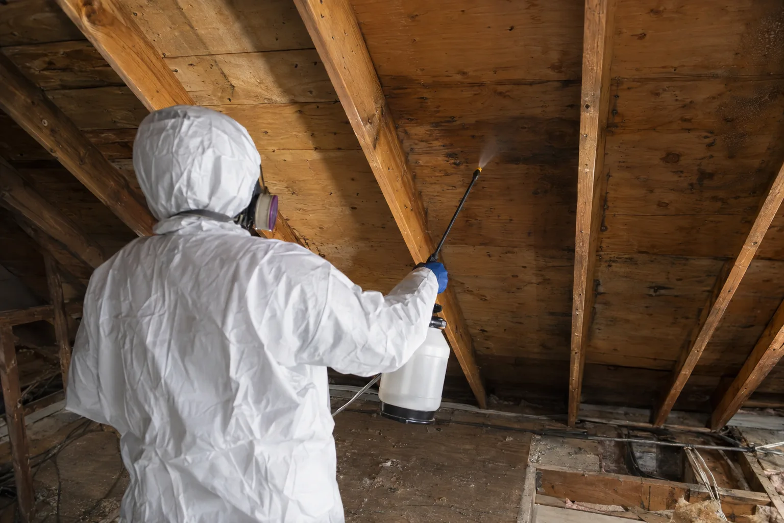 A technician in white coveralls and respirator, seen from behind, sprays sanitizing solution onto bare plywood attic sheathing with a pump sprayer under warm work-lamp light