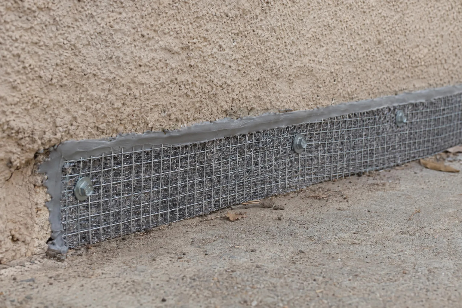 Close-up of a foundation gap in a stucco exterior wall sealed with galvanized hardware cloth and Xcluder stainless-steel fabric, secured with screws and edged with grey caulk