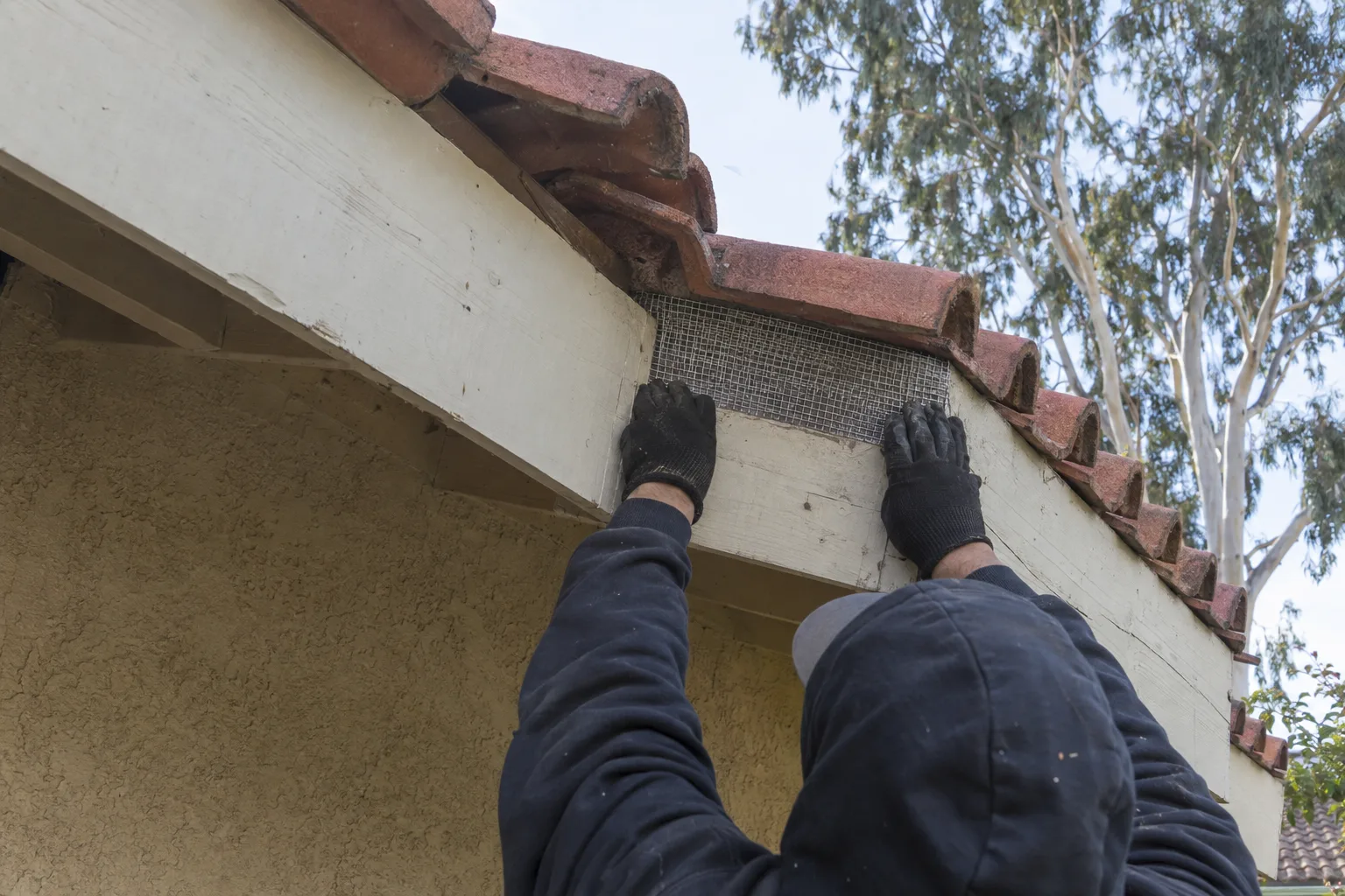 Gloved technician's hands inspecting a mesh-sealed fascia board beneath a clay tile roofline on a stucco ranch home, with eucalyptus trees visible in the background under bright Los Angeles morning sun