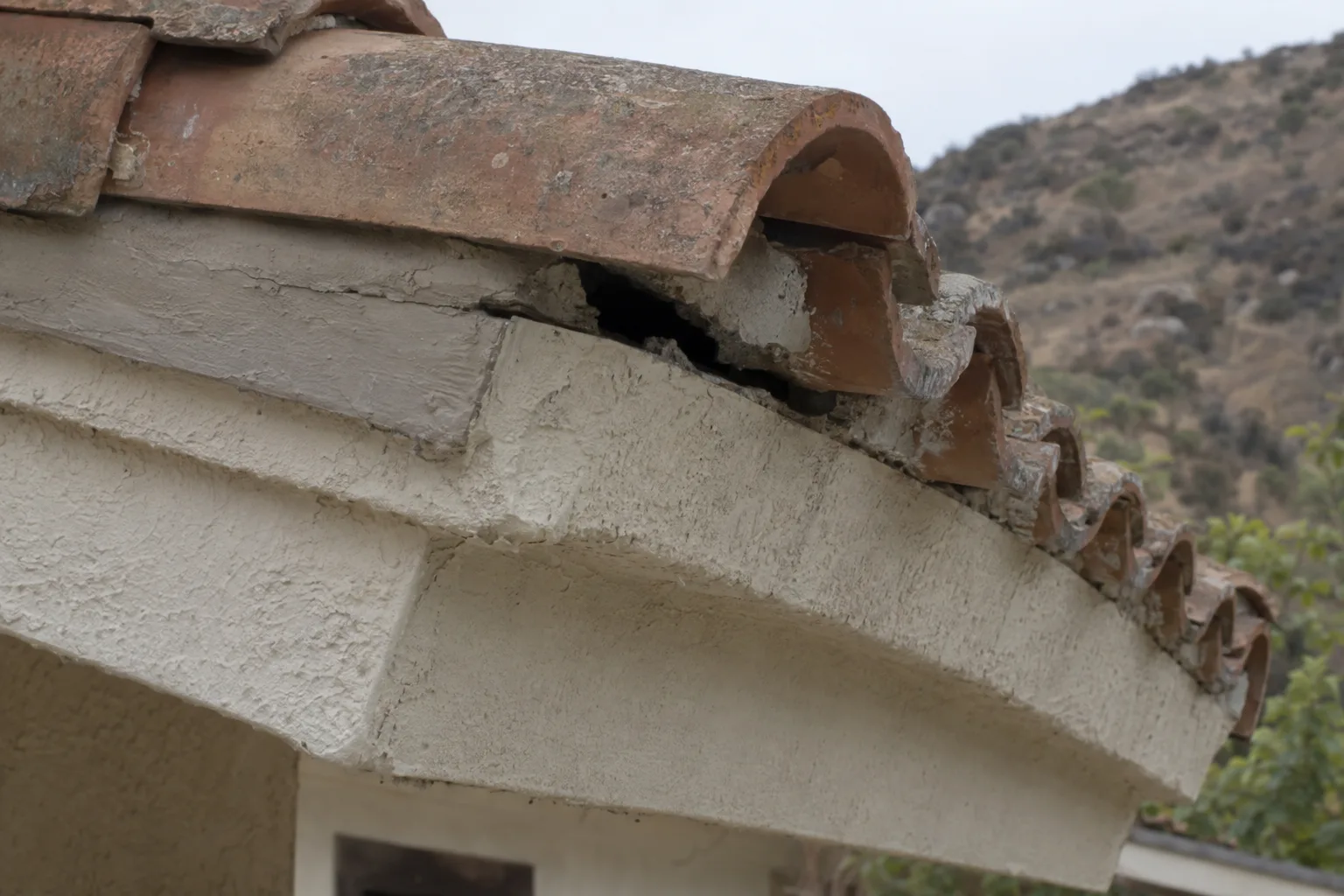 Weathered clay barrel-tile roof eave on a stucco foothills home with a cracked mortar bird block gap reopened beneath the lowest tile course, dry chaparral hillside visible out of focus behind it